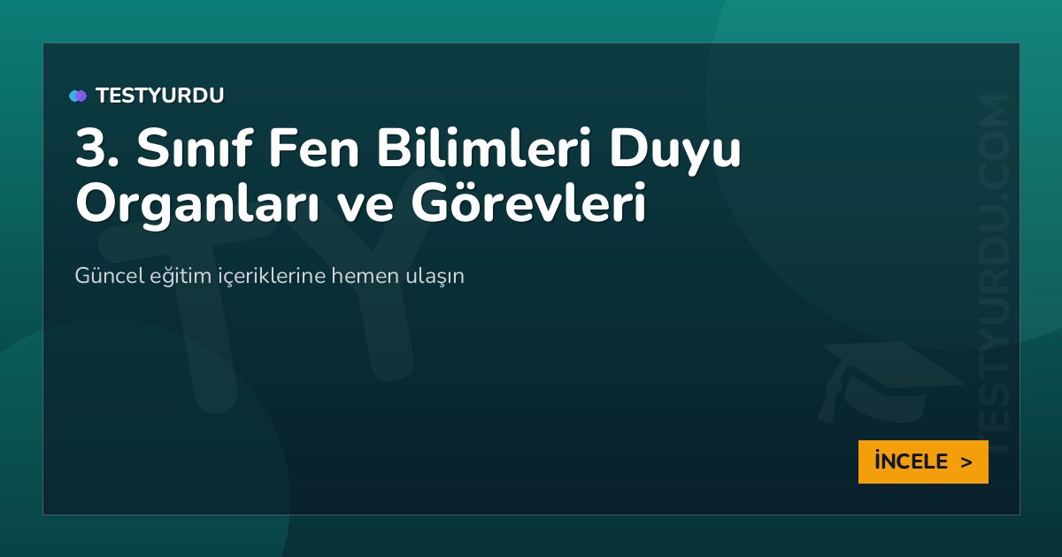 3. Sınıf Fen Bilimleri Duyu Organları ve Görevleri