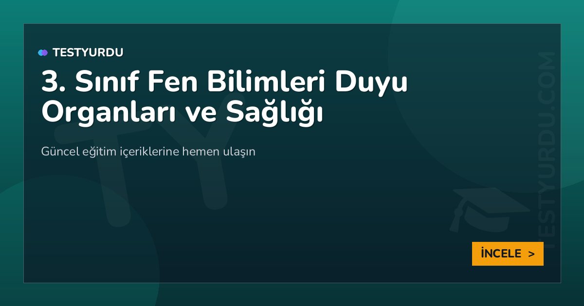3. Sınıf Fen Bilimleri Duyu Organları ve Sağlığı