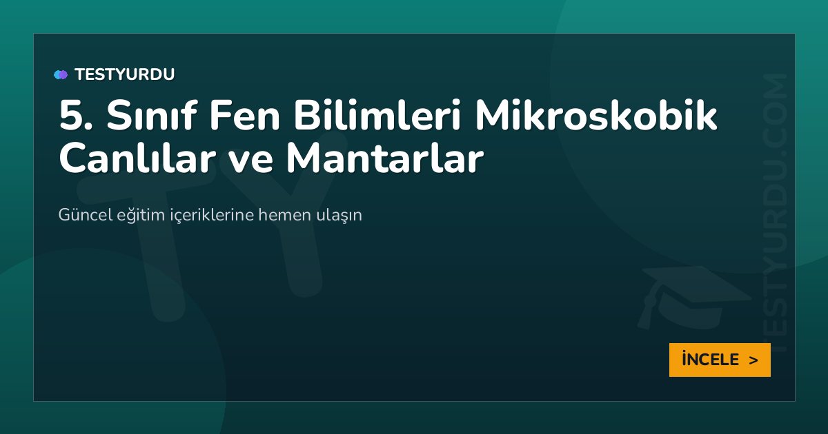 5. Sınıf Fen Bilimleri Mikroskobik Canlılar ve Mantarlar 2 5. Sınıf Fen Bilimleri Mikroskobik Canlılar ve Mantarlar