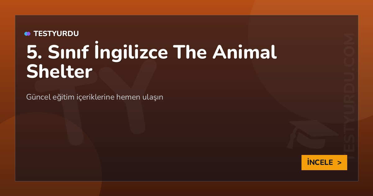 5. Sınıf İngilizce The Animal Shelter 2 5. Sınıf İngilizce The Animal Shelter