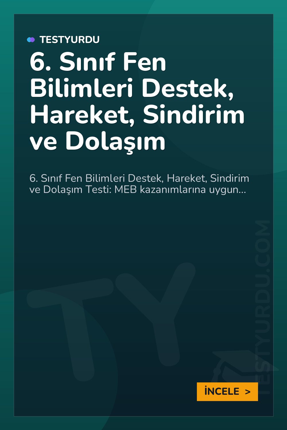 6. Sınıf Fen Bilimleri Destek, Hareket, Sindirim ve Dolaşım