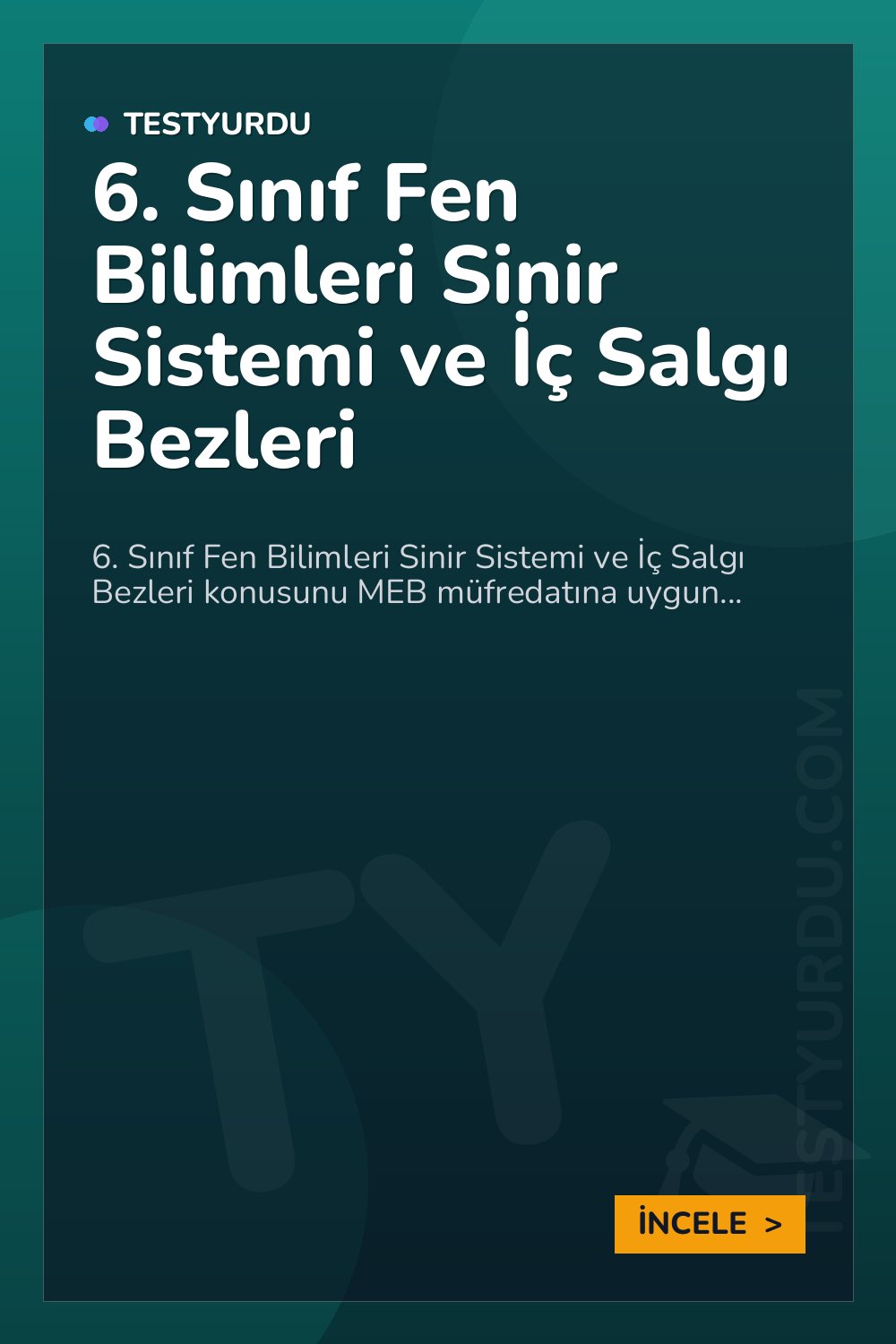 6. Sınıf Fen Bilimleri Sinir Sistemi ve İç Salgı Bezleri