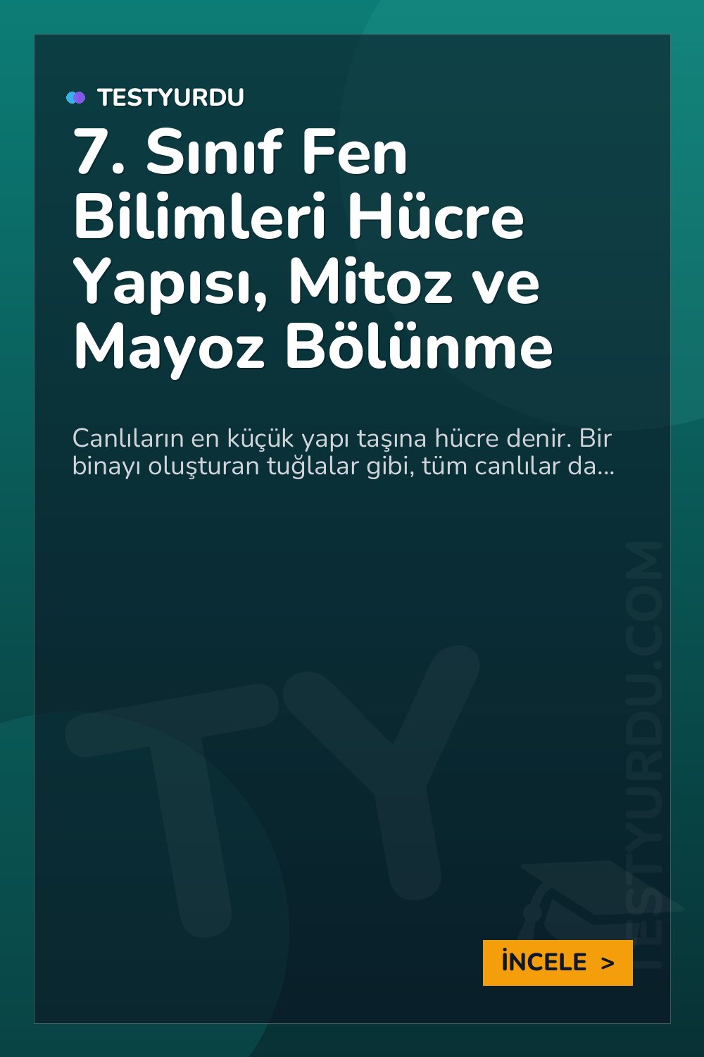 7. Sınıf Fen Bilimleri Hücre Yapısı, Mitoz ve Mayoz Bölünme
