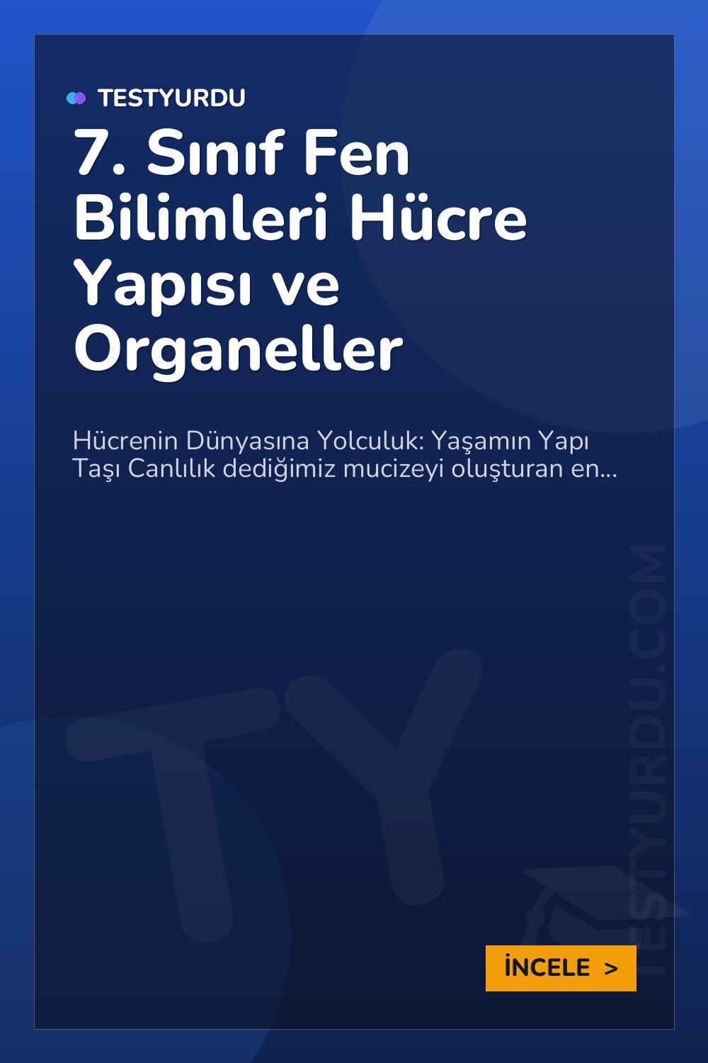 7. Sınıf Fen Bilimleri Hücre Yapısı ve Organeller