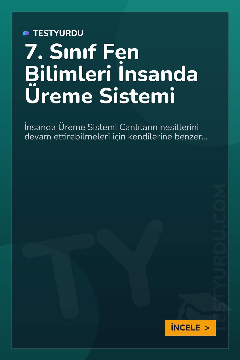 7. Sınıf Fen Bilimleri İnsanda Üreme Sistemi