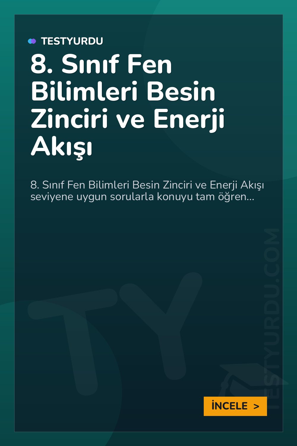 8. Sınıf Fen Bilimleri Besin Zinciri ve Enerji Akışı