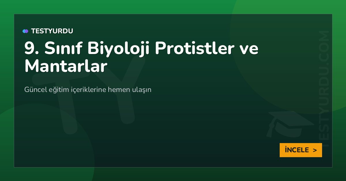 9. Sınıf Biyoloji Protistler ve Mantarlar