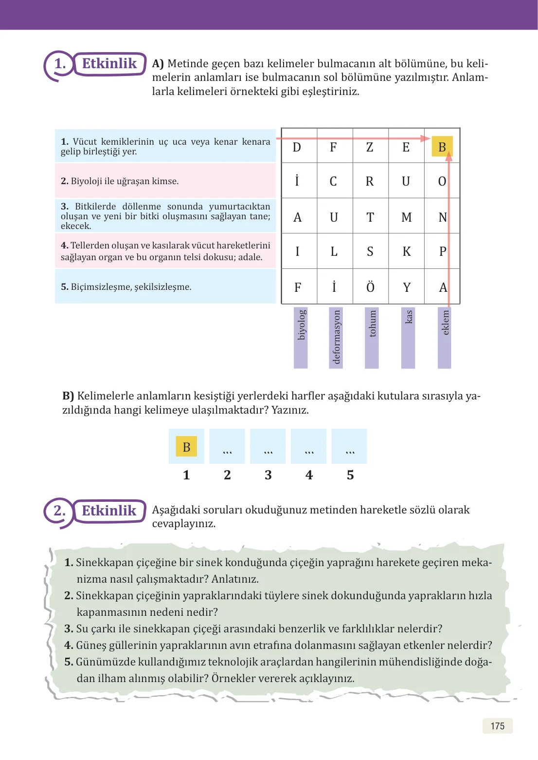 8. Sınıf Türkçe Ders Kitabı Cevapları – Meb Yayınları Sayfa 175 Cevabı