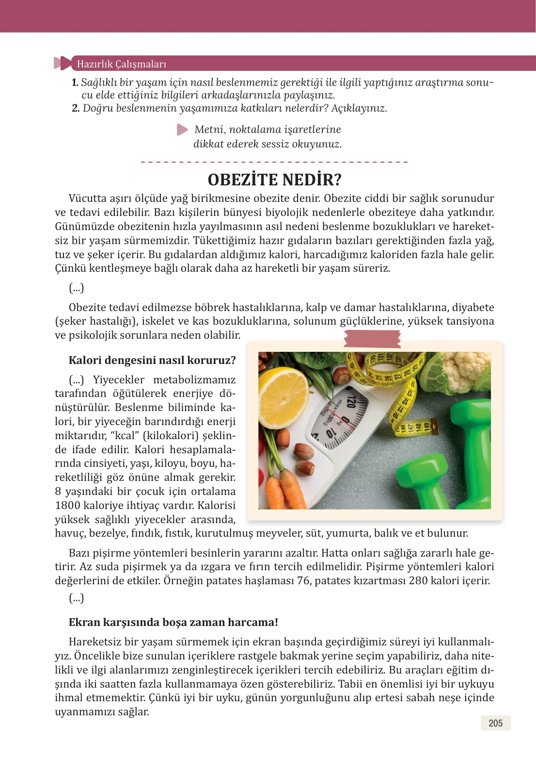 8. Sınıf Türkçe Ders Kitabı Cevapları – Meb Yayınları Sayfa 205 Cevabı