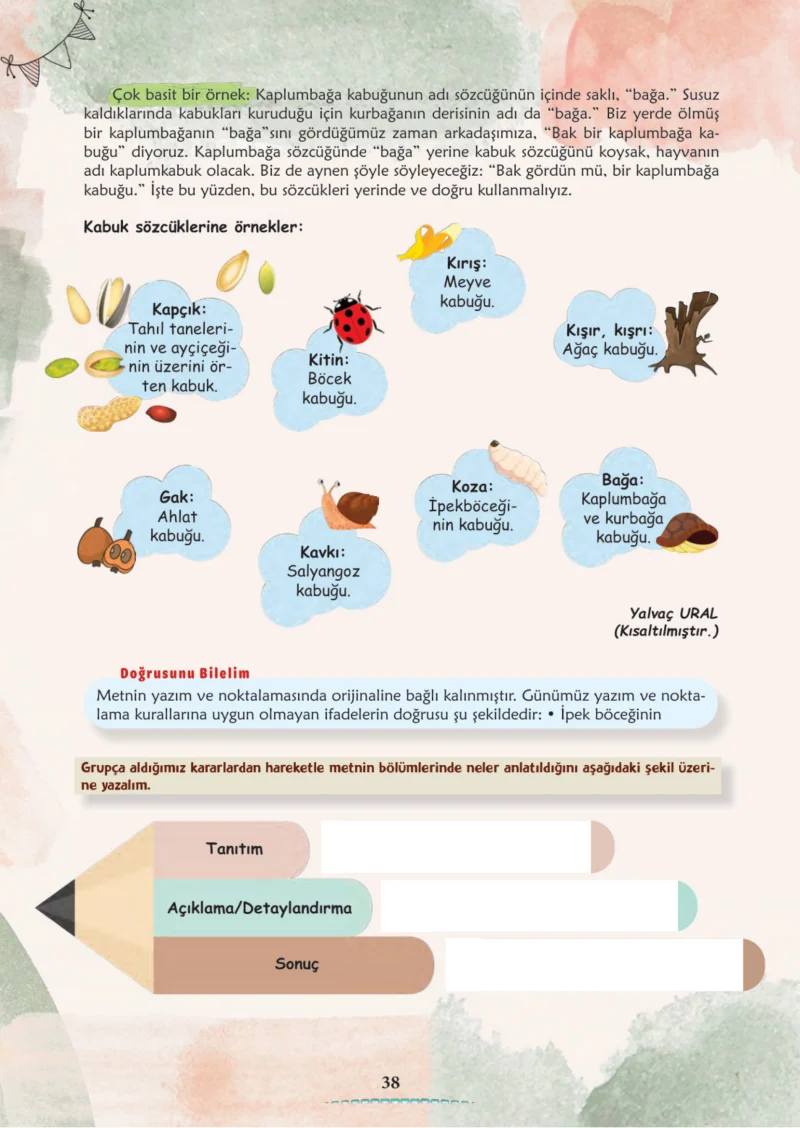 6. Sınıf Türkçe Ders Kitabı Cevapları Meb Yayınları 1. Kitap Sayfa 38 Cevabı